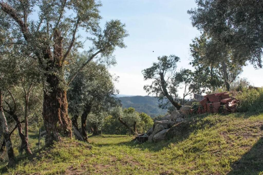 Cantinho Da Pereira Lugar Luaran gambar