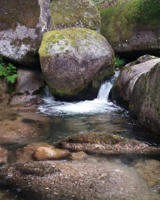 Cantinho Da Pereira Lugar Luaran gambar